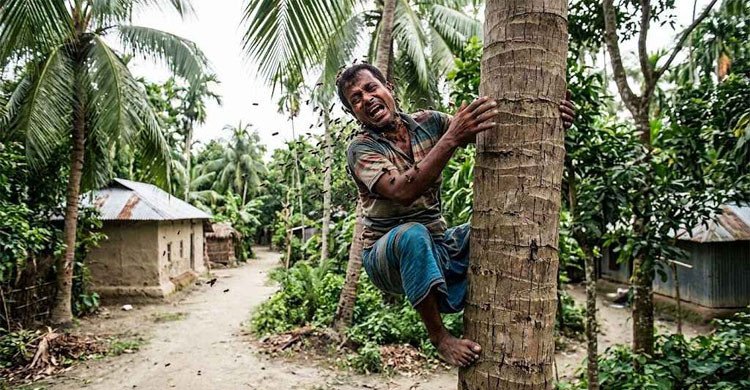 চুরি করতে গিয়ে ভিমরুলের কামড়, জীবন বাঁচাতে ডাকলেন বাড়ির মালিককে