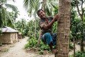 চুরি করতে গিয়ে ভিমরুলের কামড়, জীবন বাঁচাতে ডাকলেন বাড়ির মালিককে
