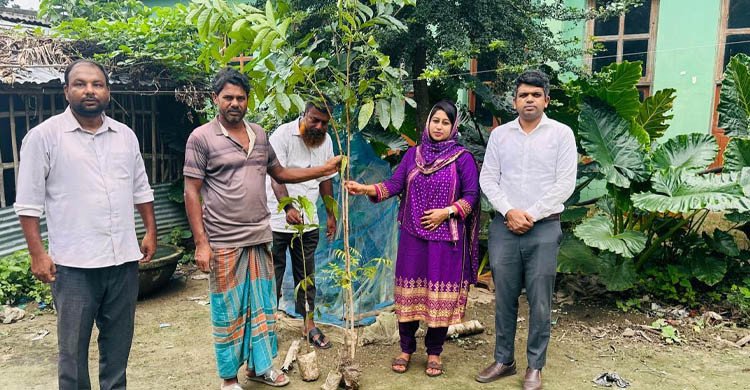 দামুড়হুদায় কৃষকদের আপত্তির মুখে নিম্নমানের চারা বদলে নতুন চারা বিতরণ