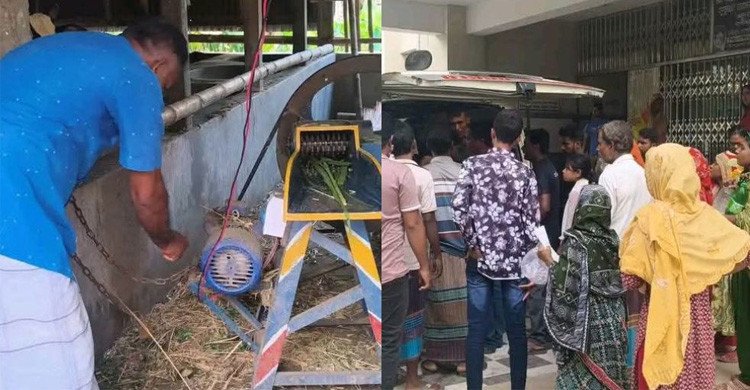 ঝিনাইদহে ঘাস কাটার মেশিনে বিদ্যুৎস্পৃষ্ট হয়ে স্বামী-স্ত্রীর মৃত্যু