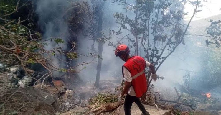 কেনিয়ায় হেলিকপ্টার দুর্ঘটনায় ইকুয়েডরের গোয়েন্দাপ্রধানসহ নিহত ৭