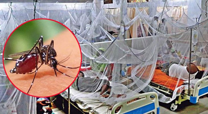 ডেঙ্গুতে আরও ৮ জনের মৃত্যু, ২৪ ঘণ্টায় হাসপাতালে ভর্তি ১,৭৮২