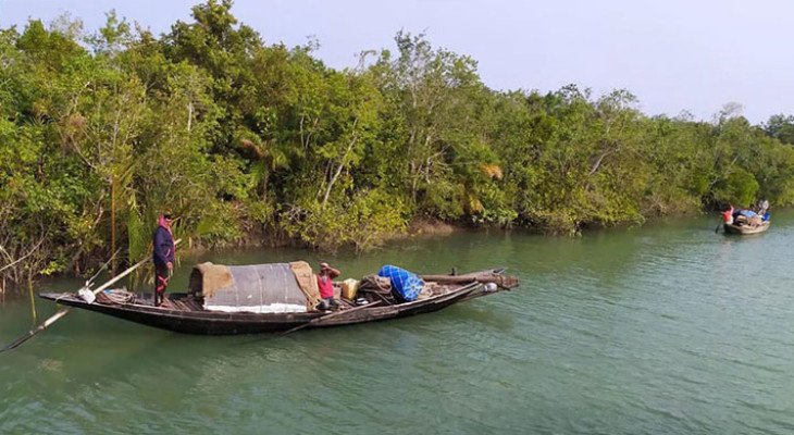 সুন্দরবনে বনদস্যু মজনু বাহিনীর তাণ্ডব, মুক্তিপণের দাবিতে অপহৃত ৪ জেলে