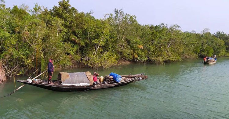 সুন্দরবনে বনদস্যু মজনু বাহিনীর তাণ্ডব, মুক্তিপণের দাবিতে অপহৃত ৪ জেলে
