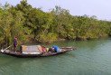 সুন্দরবনে বনদস্যু মজনু বাহিনীর তাণ্ডব, মুক্তিপণের দাবিতে অপহৃত ৪ জেলে