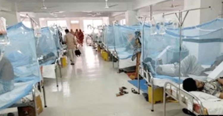 ডেঙ্গুর ভয়াবহতা বাড়ছেই, ২৪ ঘণ্টায় ৭ জনের মৃত্যু