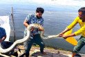 শ্রীমঙ্গলে মাছ ধরার জালে আটকা অজগর, দুই ঘণ্টার চেষ্টায় উদ্ধার