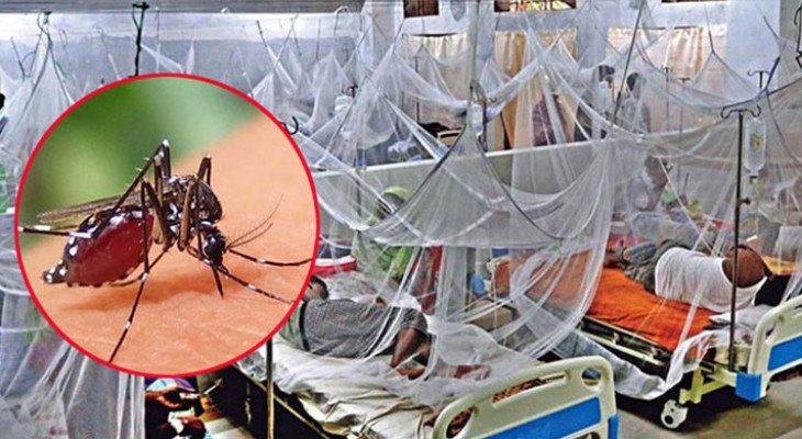 ডেঙ্গুর ভয়াবহতা বাড়ছেই, ২৪ ঘণ্টায় আরও ৮ জনের মৃত্যু