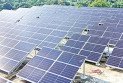 সর্বোচ্চ ৭ টাকা ১১ পয়সায় সৌরবিদ্যুৎ কিনবে পিডিবি