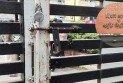 চুয়েটে ভিসি বদলের প্রতিবাদে শাটডাউন, মূল ফটকে তালা দিয়ে শিক্ষার্থীদের বিক্ষোভ