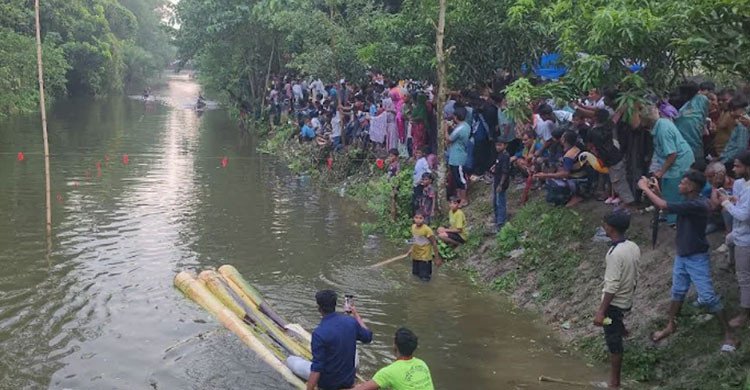 কুষ্টিয়ায় কলাগাছের ভেলা বাইচে মাতল হাজারো মানুষ