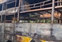 ঘুমন্ত যাত্রীদের মধ্যে হঠাৎ আগুন, গ্রেটার নয়ডায় স্লিপার বাসে নিহত ৯
