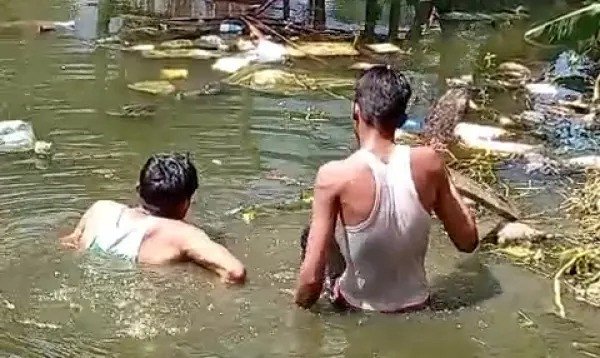 ফেনীতে গাঁজা সেবনের সময় ২ মাদকসেবীকে ধরে পুকুর পরিষ্কার করালেন স্থানীয়রা