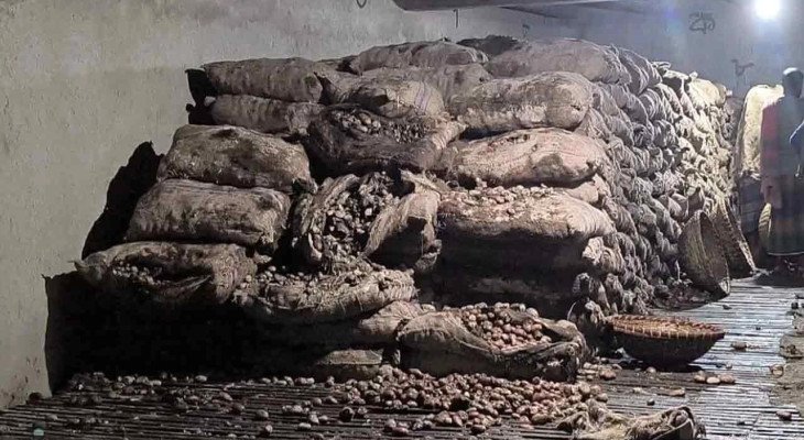 বেশি দামের আশায় দীর্ঘদিন মজুত, পচে নষ্ট ৩০ হাজার মণ আলু