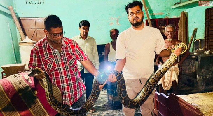 খাটের নিচে ‘হুসস হুসস’ শব্দ, বেরিয়ে এলো ১৬ ফুটের অজগর