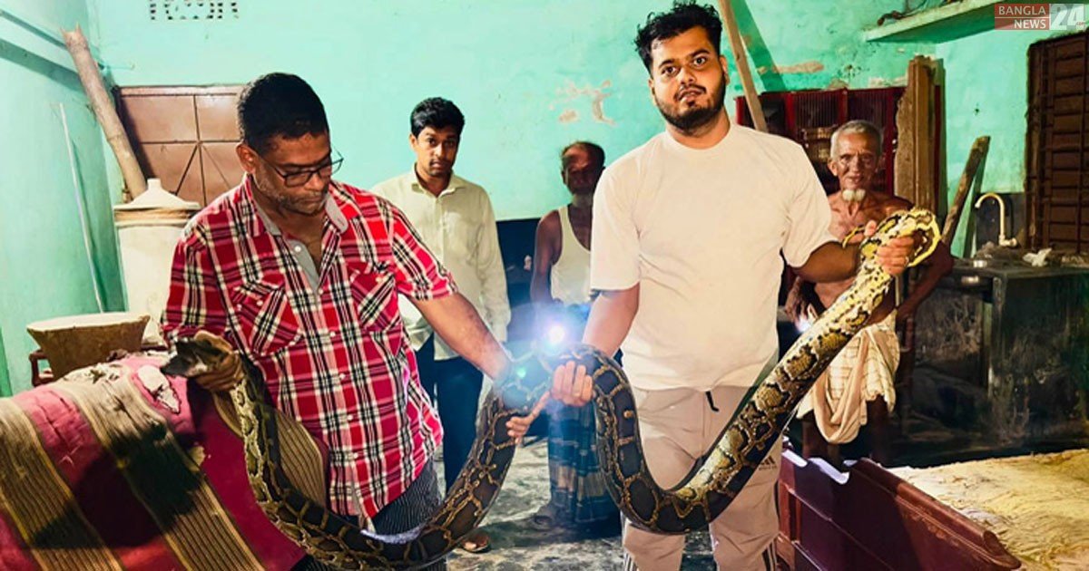 খাটের নিচে ‘হুসস হুসস’ শব্দ, বেরিয়ে এলো ১৬ ফুটের অজগর