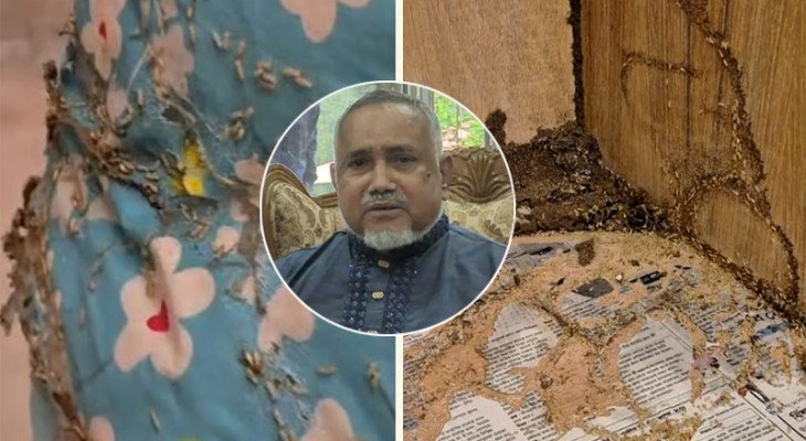বরাদ্দ কক্ষে উইপোকা, রাতেই সার্কিট হাউস ছাড়লেন বিরোধীদলীয় উপনেতা
