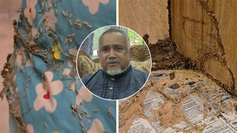 বরাদ্দ কক্ষে উইপোকা, রাতেই সার্কিট হাউস ছাড়লেন বিরোধীদলীয় উপনেতা