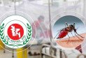 ২৪ ঘণ্টায় ডেঙ্গুতে আরও ৭ জনের মৃত্যু, হাসপাতালে ভর্তি ১,৮৭২