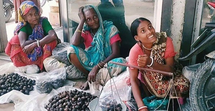 শালুক বিক্রিতেই চলে সংসার, ঘিওর হাটে জীবিকার লড়াই ক্ষুদ্র নৃগোষ্ঠীর নারীদের