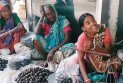শালুক বিক্রিতেই চলে সংসার, ঘিওর হাটে জীবিকার লড়াই ক্ষুদ্র নৃগোষ্ঠীর নারীদের