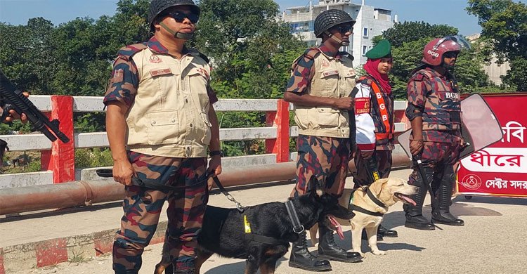 ঠাকুরগাঁও-১ উপনির্বাচনে নিরাপত্তার চাদরে এলাকা, মাঠে ২১ প্লাটুন বিজিবি