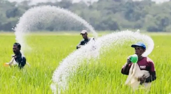 তিন দেশ থেকে ৯৬৯ কোটি টাকার সার কিনবে সরকার, অনুমোদন ক্রয় কমিটির