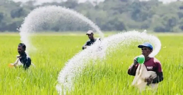 তিন দেশ থেকে ৯৬৯ কোটি টাকার সার কিনবে সরকার, অনুমোদন ক্রয় কমিটির