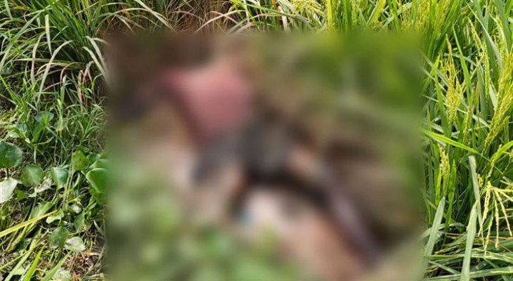 লাকসামে ধানখেত থেকে অটোরিকশাচালকের মরদেহ উদ্ধার, ঘিরে রহস্য