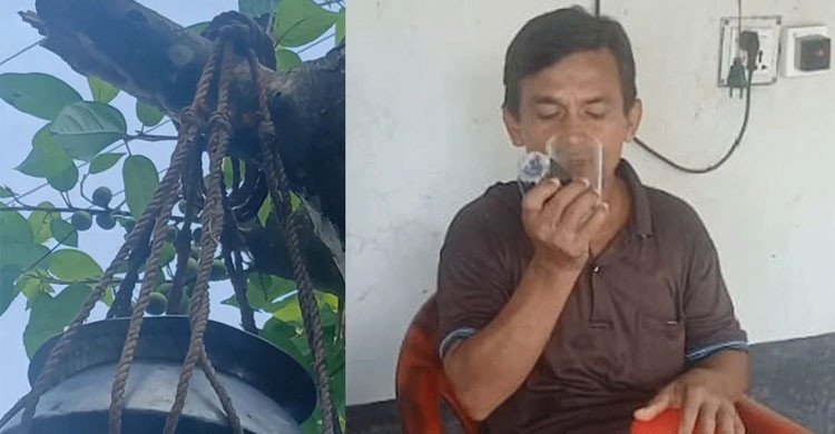 রোগমুক্তির আশায় ডুমুর গাছের নির্গত তরল সংগ্রহে মানুষের ভিড়