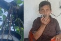 রোগমুক্তির আশায় ডুমুর গাছের নির্গত তরল সংগ্রহে মানুষের ভিড়