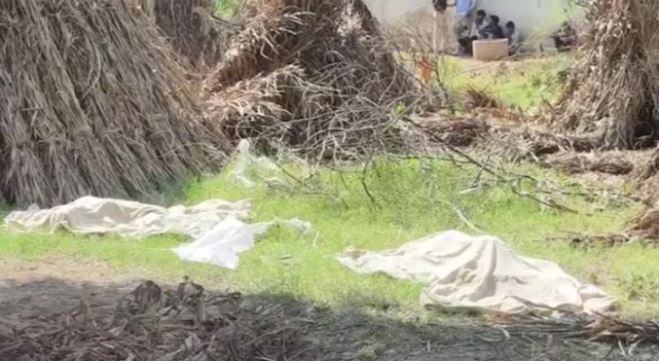 প্রেমিকের আপত্তিতে যমজ দুই ছেলেকে হত্যার অভিযোগ, মা গ্রেপ্তার