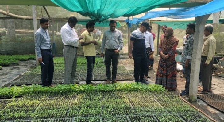 যমুনার চরে ‘পলিসেড হাউসে’ বদলে যাচ্ছে কৃষির চিত্র