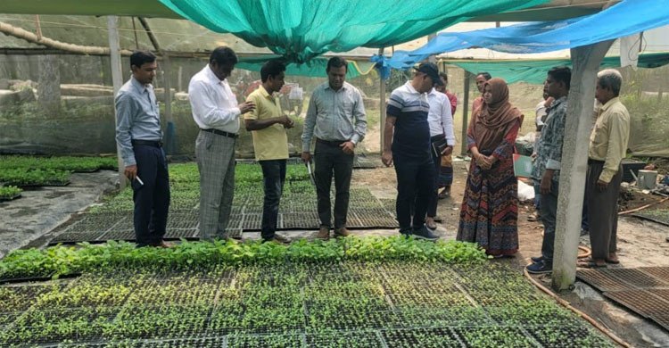 যমুনার চরে ‘পলিসেড হাউসে’ বদলে যাচ্ছে কৃষির চিত্র