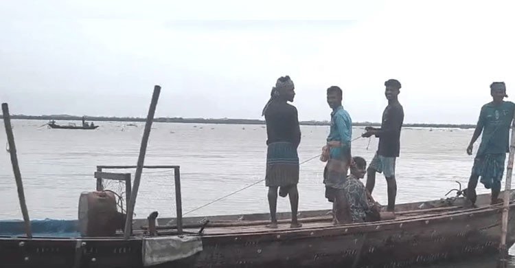 নিষেধাজ্ঞা উপেক্ষা করে পদ্মায় মা ইলিশ শিকার, নদীর পাড়ে জমজমাট বিক্রি