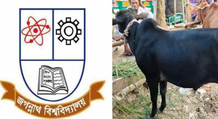 জগন্নাথ বিশ্ববিদ্যালয়ে শনিবারও গরুভোজ, সন্ধ্যায় থাকছে কাওয়ালি অনুষ্ঠান
