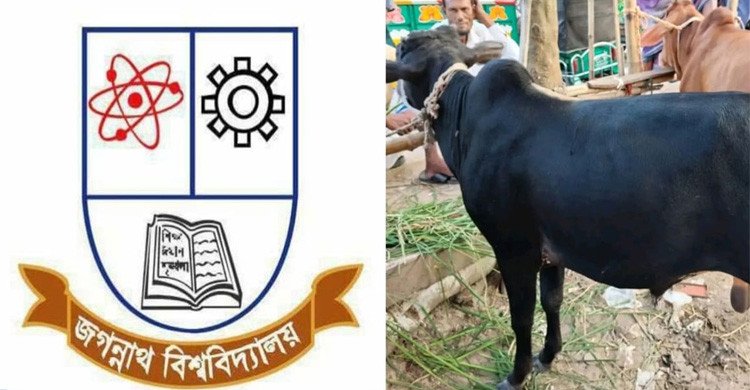 জগন্নাথ বিশ্ববিদ্যালয়ে শনিবারও গরুভোজ, সন্ধ্যায় থাকছে কাওয়ালি অনুষ্ঠান