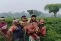 বাংলাদেশি কৃষককে বিএসএফের গুলি, ভারতীয় নাগরিককে ধরে আনলো গ্রামবাসী