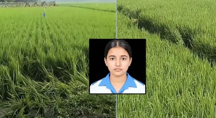 প্রাণ বাঁচাতে একের পর এক ধানক্ষেতে দৌড়েছিল তাজমিন, তবু শেষ রক্ষা হয়নি