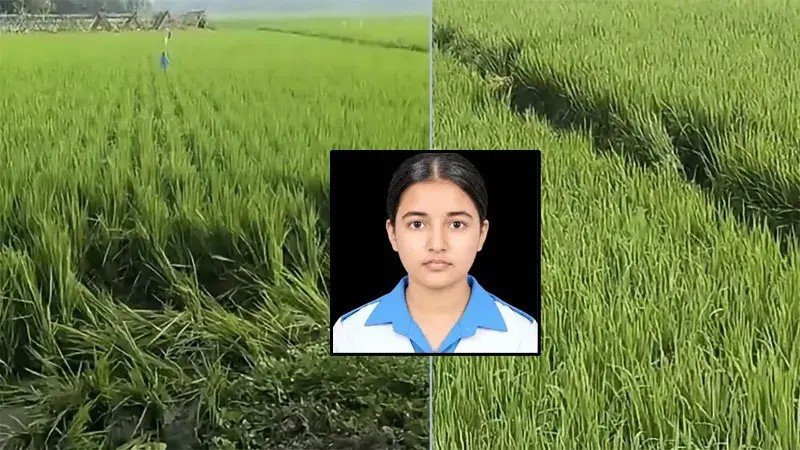 প্রাণ বাঁচাতে একের পর এক ধানক্ষেতে দৌড়েছিল তাজমিন, তবু শেষ রক্ষা হয়নি