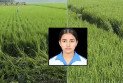 প্রাণ বাঁচাতে একের পর এক ধানক্ষেতে দৌড়েছিল তাজমিন, তবু শেষ রক্ষা হয়নি