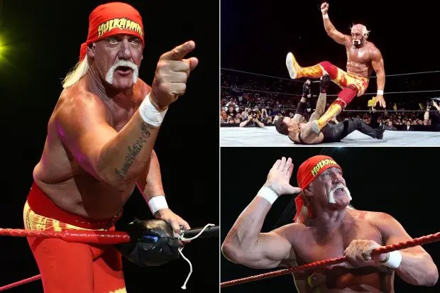 hulk hogan2_Dhakaprokash.jpg