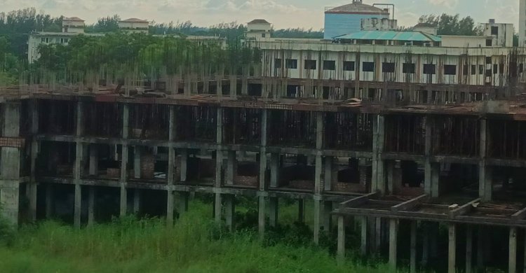 dp- nstu 1.jpg