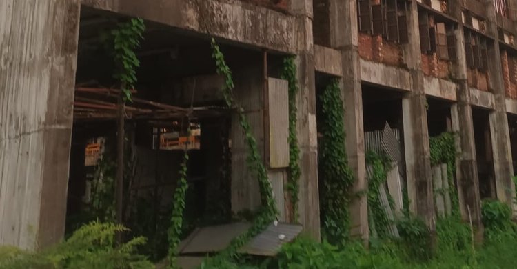 dp- nstu 3.jpg