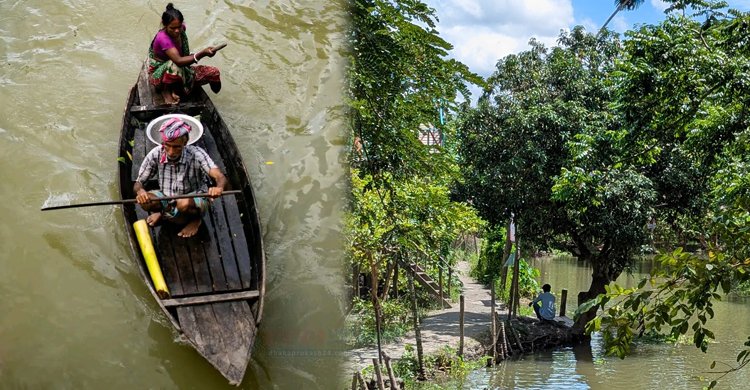 payara-2-Dhaka Prokah News-04-09-2025.jpg