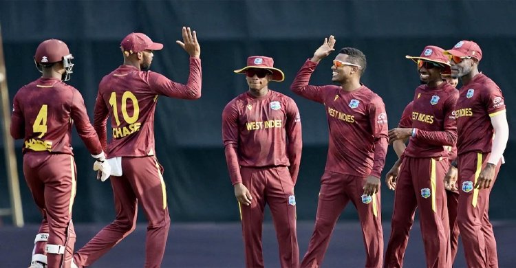 cricket3.jpg
