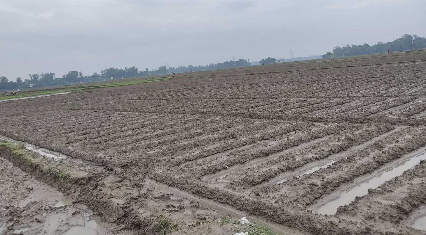 naogaon_rain1_Dhakaprokash.jpg