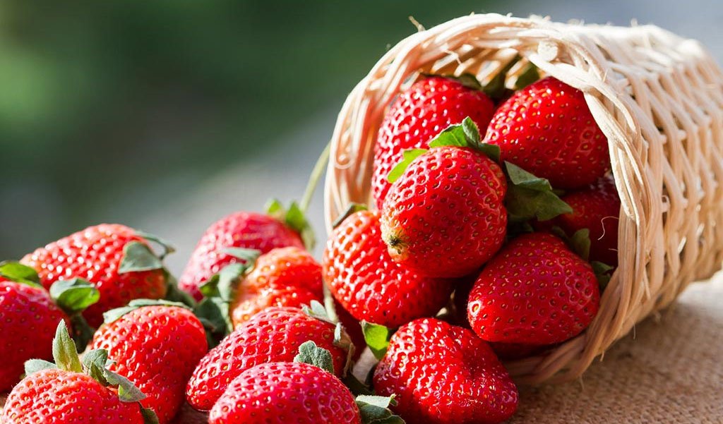 strawberry1_Dhakaprokash.jpg